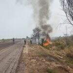 Proprietário rural é multado por incêndio para renovação de pastagem