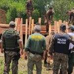 Autoridades aplicam multa de R$ 135 mil em operação contra desmatamento ilegal