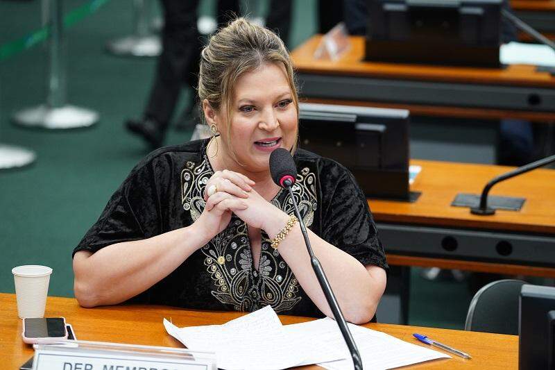 Foto. Pablo Valadares/Câmara dos Deputados