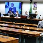 Comissão da Câmara aprova projeto para legalizar cultivo de maconha para fins medicinais