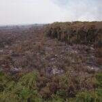 Idoso é multado em R$ 3 mil por incendiar 3 hectares de pastagem no Pantanal