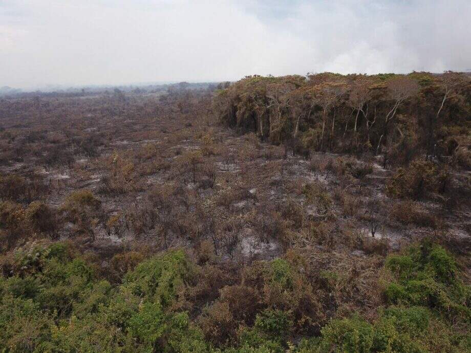 Idoso é multado em R$ 3 mil por incendiar 3 hectares de pastagem no Pantanal