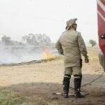 Fogo atrapalha visibilidade na BR-060 em Campo Grande e testemunha fala em incêndio criminoso