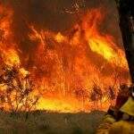 Austrália registra incêndios em vários estados