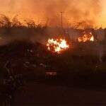 Defesa Civil alerta que queimada é crime e aponta ‘alta incidência’ na região do Santa Luzia