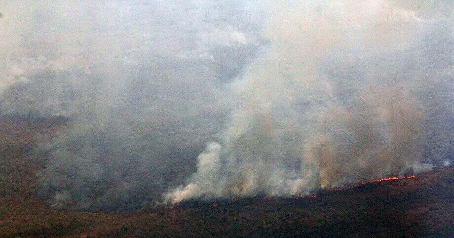 Fazendeiros registram ocorrência após incêndio destruir mais de 700 hectares em Corumbá