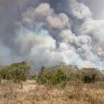 VÍDEO: Incêndio destrói área de preservação e refúgio de araras azuis no Pantanal