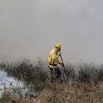 Cerca de 200 ribeirinhos deixam casas no Pantanal após queimadas e problemas de saúde 