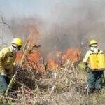 Com bloqueio de R$ 60 milhões, combate a incêndios no Pantanal será suspenso