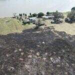 VÍDEO: Incêndio destrói 5 mil hectares de mata nativa no Pantanal em Corumbá