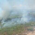 VÍDEO: Bombeiros continuam trabalhos de combate em incêndio no Pantanal