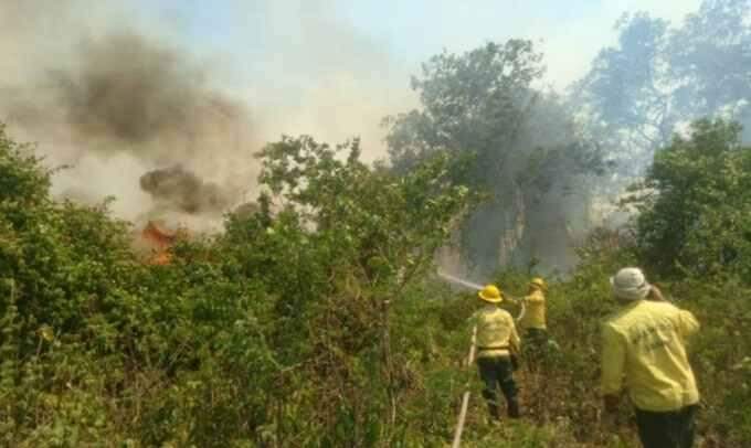 Com extinção de focos de incêndio, equipes são desmobilizadas na Serra do Amolar