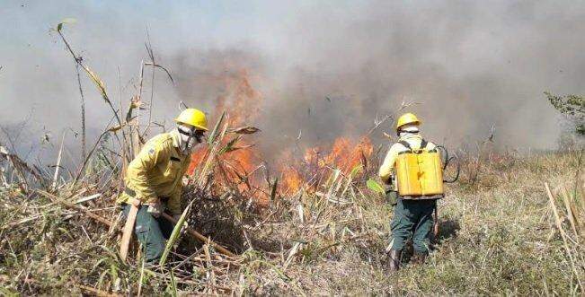 Com R$ 3,8 milhões empenhados, MS recebe apenas reforço humano para combater incêndios no Pantanal