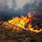 Incêndios já destruíram ao menos 61 mil hectares no Paraguai