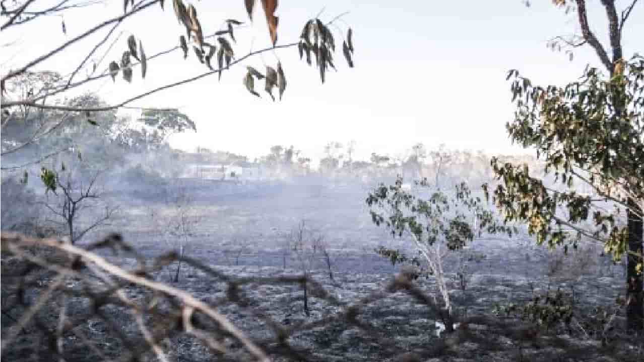 Fogo foi controlado e bombeiros atuam no rescaldo