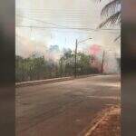 VÍDEO: Incêndio em matagal se espalha por terreno no bairro Zé Pereira e assusta moradores