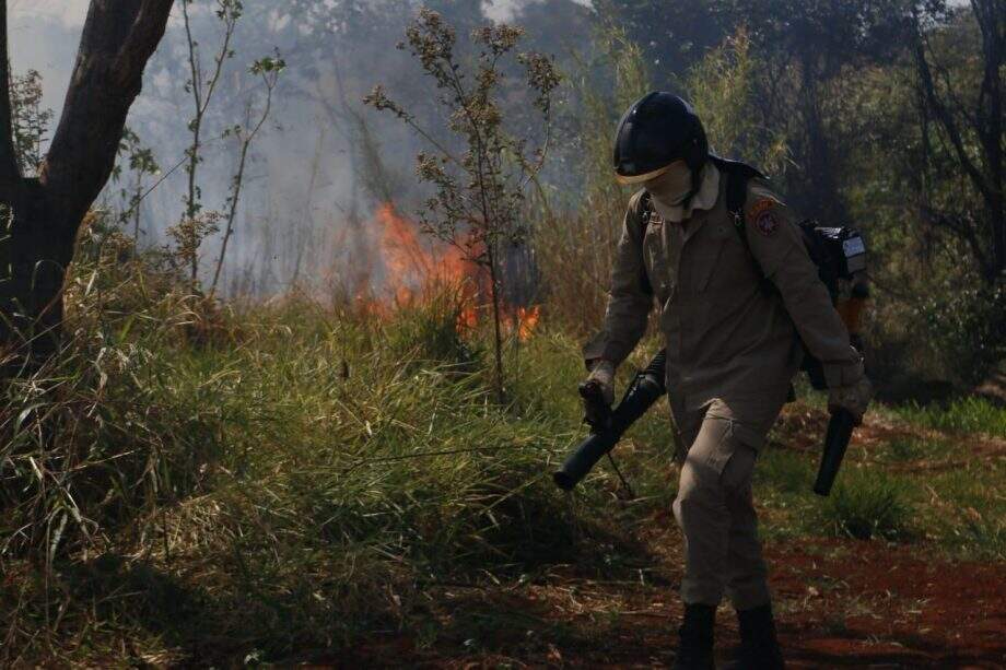Para combater incêndios, brigadas são reforçadas e Ongs monitoram áreas
