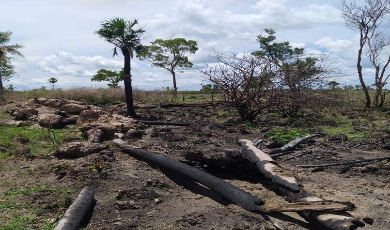 Fazendeiro é multado em R$ 301 mil por desmatamento de Mata Atlântica em MS