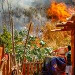 MS em chamas: Com mais de 4 mil incêndios florestais em 8 meses, Estado tem quatro pontos críticos