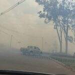 VÍDEO: Incêndio em fazenda deixa Ribas do Rio Pardo tomada pela fumaça