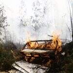 Com casas sem muro e terreno que tem até carro abandonado, moradores das Moreninhas convivem com queimadas há décadas