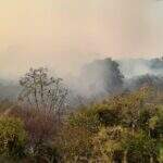 Com chamas de grande proporção no Pantanal, fumaça continua cobrindo céu de Corumbá