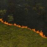 Senado terá comissão para acompanhar incêndios que destroem o Pantanal em MS