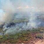 Com chuva abaixo da média, Pantanal de MS tem risco altíssimo para incêndios florestais
