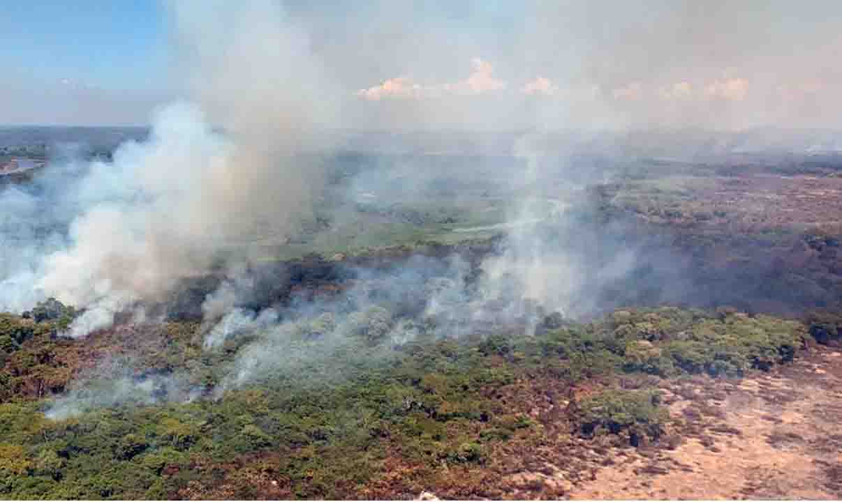 Com chuva abaixo da média, Pantanal de MS tem risco altíssimo para incêndios florestais