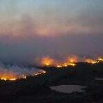 Autor de remake de ‘Pantanal’ lamenta incêndios: ‘assombroso’