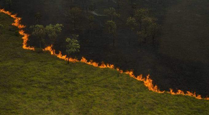 Senado terá comissão para acompanhar incêndios que destroem o Pantanal em MS