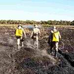 Ibama licita R$ 200 mil em equipamentos para apoio no combate a incêndios florestais em MS