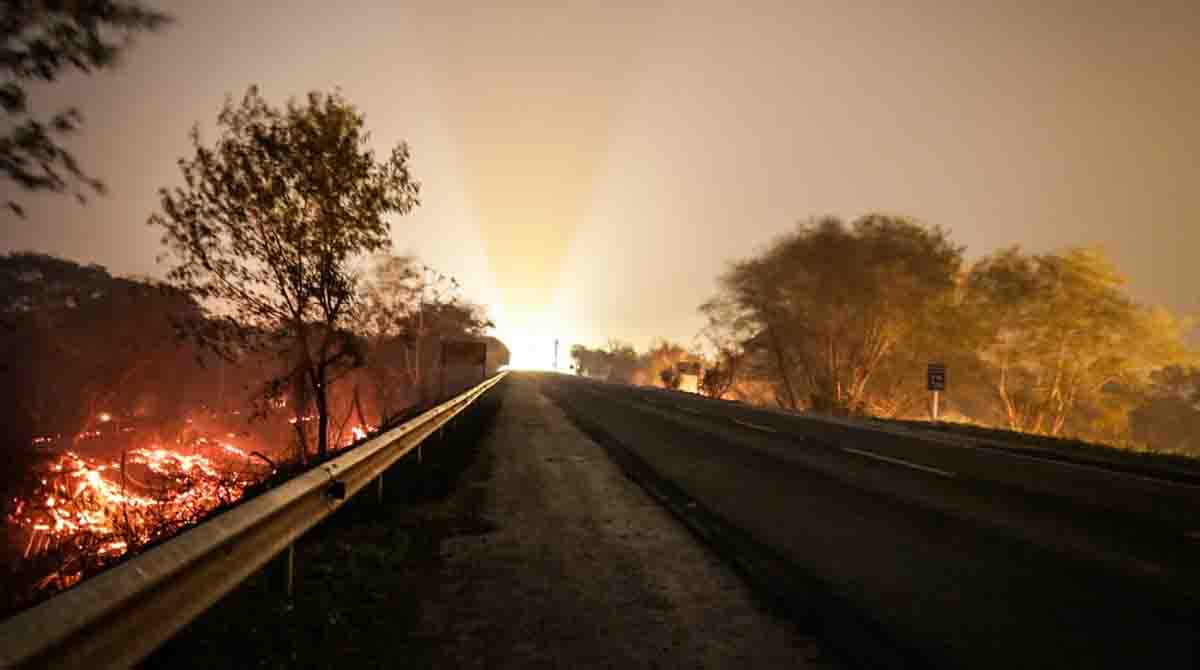 Incêndios em 2020 devastaram parte do Pantanal sul-mato-grossense