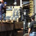 PF incinera 24 toneladas de maconha apreendida na fronteira de MS