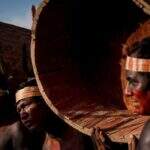 Coalizão do agronegócio e ambientalistas pede proteção a povos indígenas