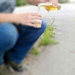 Morador com coronavírus desrespeita isolamento para tomar cerveja na frente de casa em MS