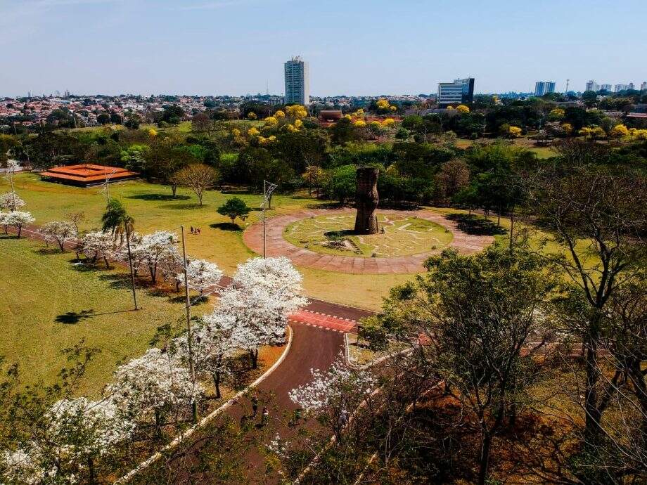 Ipês de outras cores ainda são vistos na Capital. (Foto: Marcos Ermínio/Midiamax)