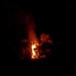 Moradores relatam incêndio em mata no bairro Jardim das Cerejeiras, em Campo Grande