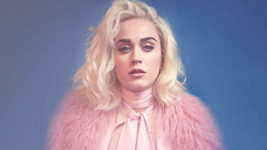 Katy Perry é criticada por alimentar o cachorro com dieta vegana