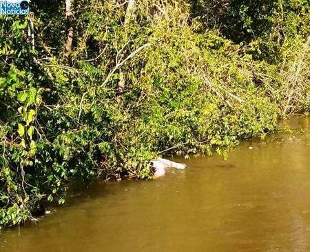 Polícia identifica homem achado morto no Rio Anhanduí