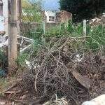 VÍDEO: Monte de lixo em terreno baldio está ‘invadindo’ a rua e oferecendo risco aos vizinhos no Marcos Roberto