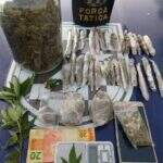 Com plantação de maconha em casa, 4 são detidos por tráfico de drogas em Campo Grande