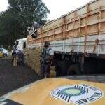 Caminhoneiro de MS é preso com 2,7 toneladas de maconha em rodovia de SP