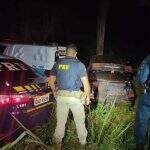 Dupla tenta fugir da polícia com 360 quilos de maconha, mas acerta árvore na BR-163
