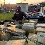 Polícia de SC apreende 24 toneladas de maconha que saíram de Ponta Porã