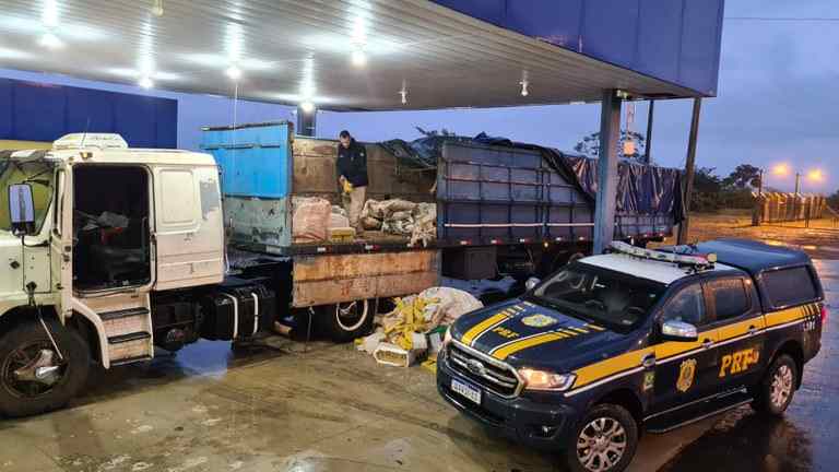 PRF flagra caminhão com 1,5 tonelada de maconha e 60 quilos de skunk em Naviraí