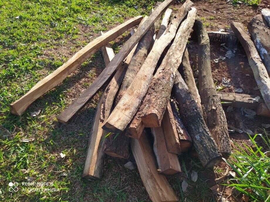 Homem é multado em R$ 1 mil por exploração e armazenamento de madeira em assentamento