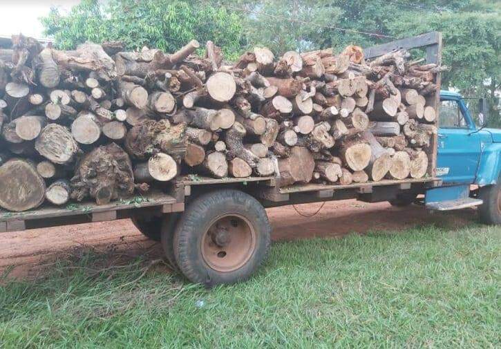 Polícia Militar Ambiental autua infrator em R$ 5 mil por exploração ilegal de madeira