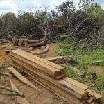 PMA autua infrator em R$ 3 mil por derrubada ilegal de árvores