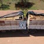 PMA autua paranaense em R$ 9 mil por transporte de madeira ilegal
